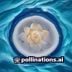 小说排行榜主编林书海头像，专注网络文学榜单研究的资深编辑